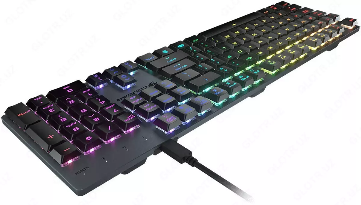 2026-01-07-17-52-19-280726-45631caba727afd6fcd5bf6d49563a9c.webp?_=ozbol