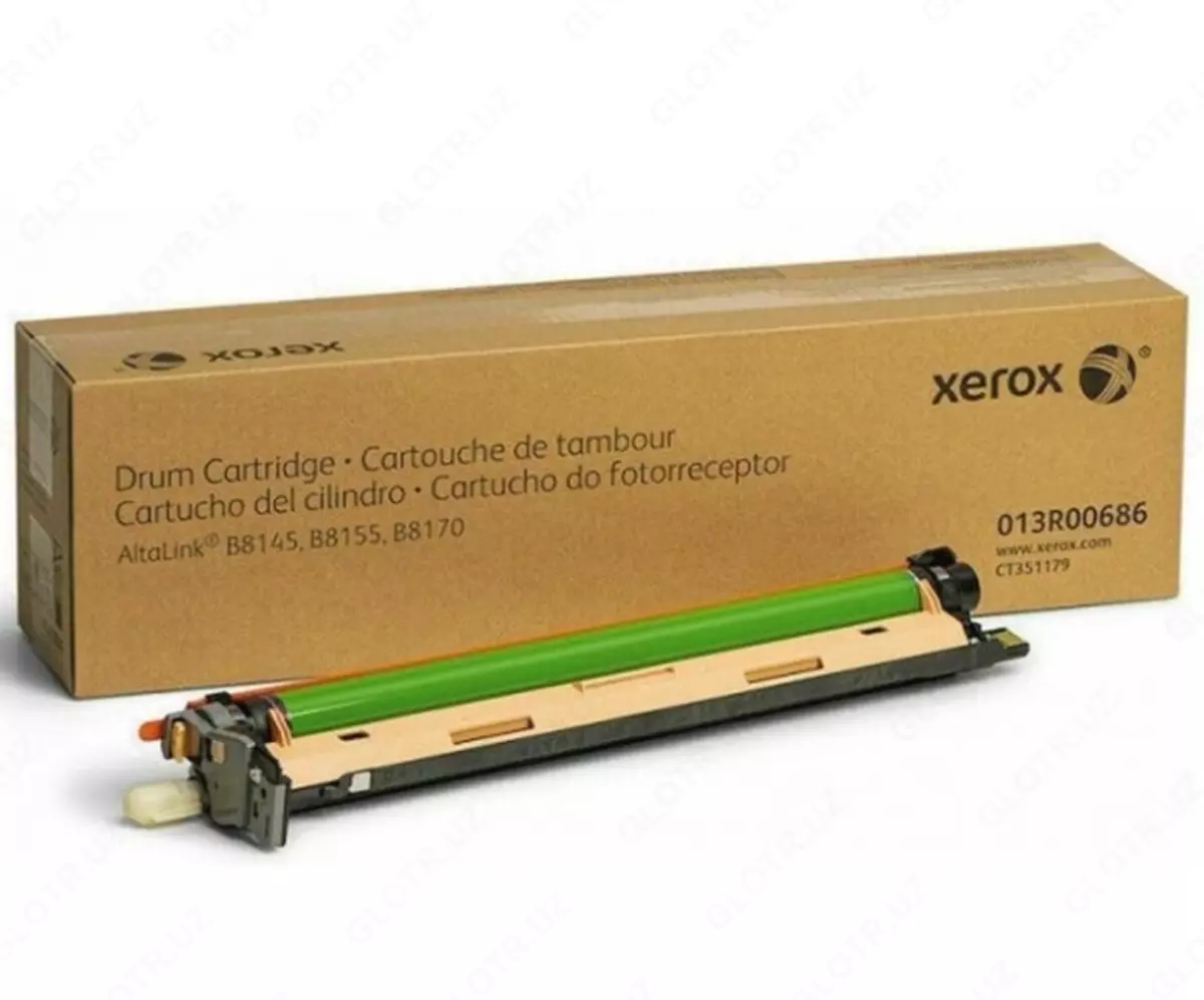 2026-01-09-12-56-33-915161-b82909f06f9cc06a191d426ea2e97cfd.webp?_=ozbol