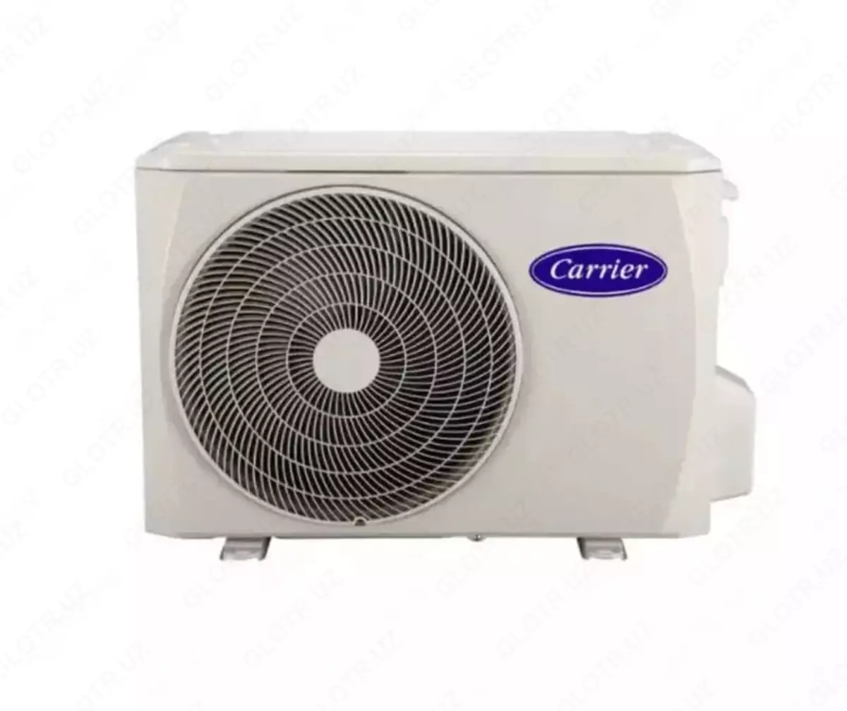 2026-01-13-17-09-02-791075-62ca545f4eee7011fdb58366fc60cd6e.webp?_=ozbol