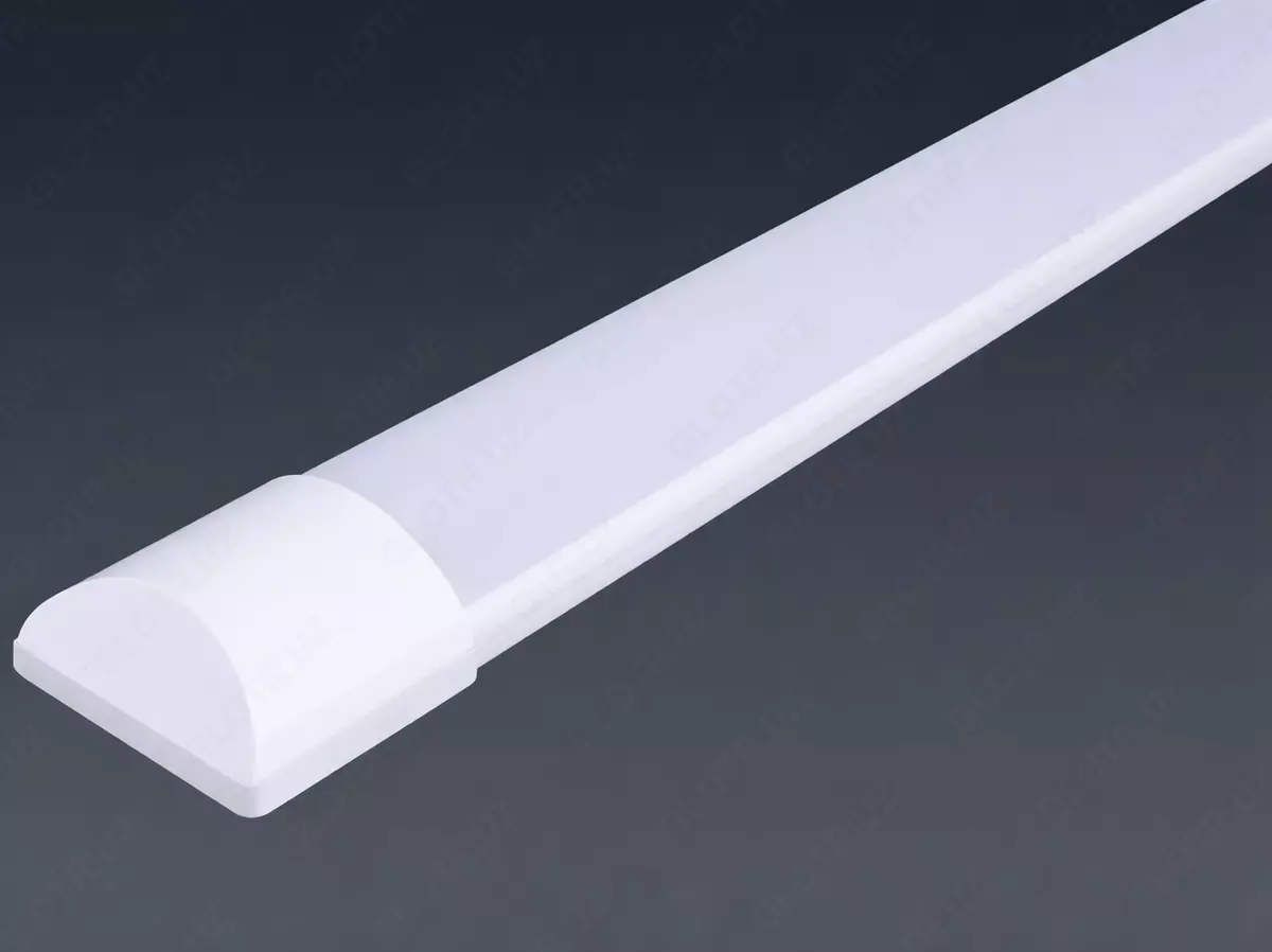 2026-01-14-12-54-05-020902-118ec4e7b85969ea7d708d1285d2cc27.webp?_=ozbol