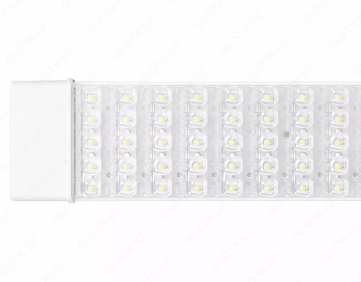 2026-01-14-13-26-02-104712-3c76a09c9724d48c6a244b1164dc307d.webp?_=ozbol