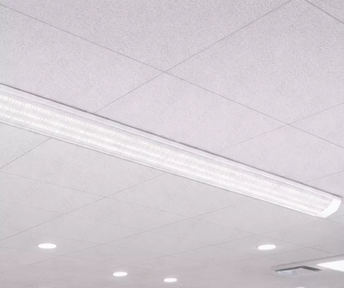 2026-01-14-13-48-55-127743-f1440a56bd222908dffbb9aa5a9fddd8.webp?_=ozbol