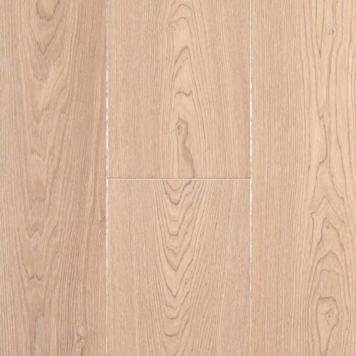 2026-01-17-12-49-36-355079-841c67b33806cee2aa0a06b606b3f430.webp?_=ozbol