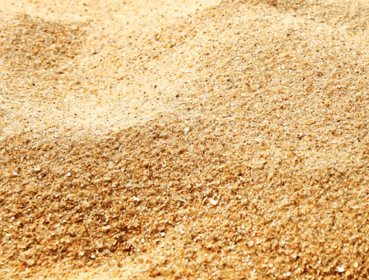 2026-01-20-10-01-52-420041-f2b48f31194aabcc30d6634be67b8d66.webp?_=ozbol