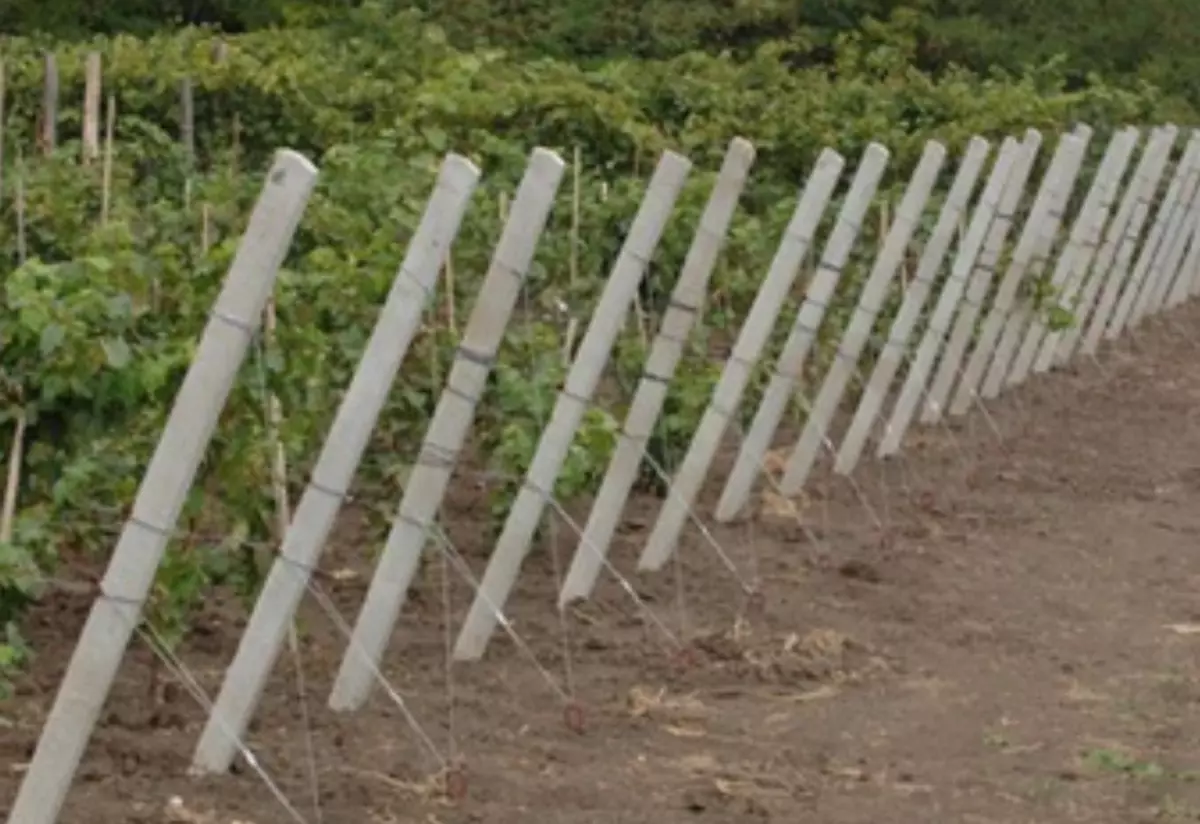 2026-01-20-10-12-10-987183-c1d3ce7738a57a42d6c27ff1792bb7b1.webp?_=ozbol