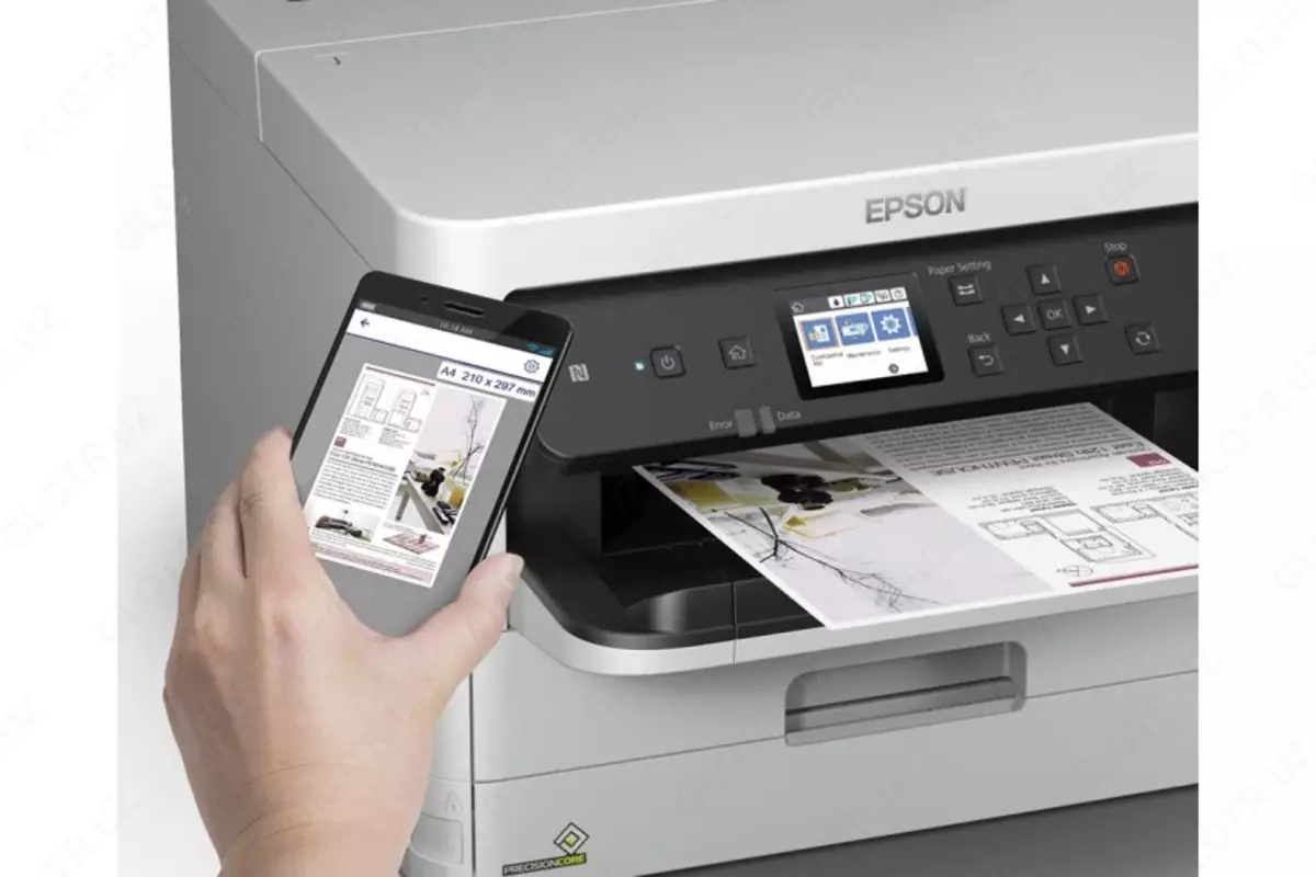 2026-01-20-10-16-26-457812-971c72bb43b647f9b3e344294e3e86b3.webp?_=ozbol