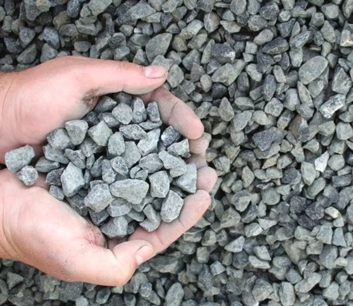 2026-01-20-11-20-30-719799-a8a4eff4ab34c9f0c7bd4821615b0fd6.webp?_=ozbol