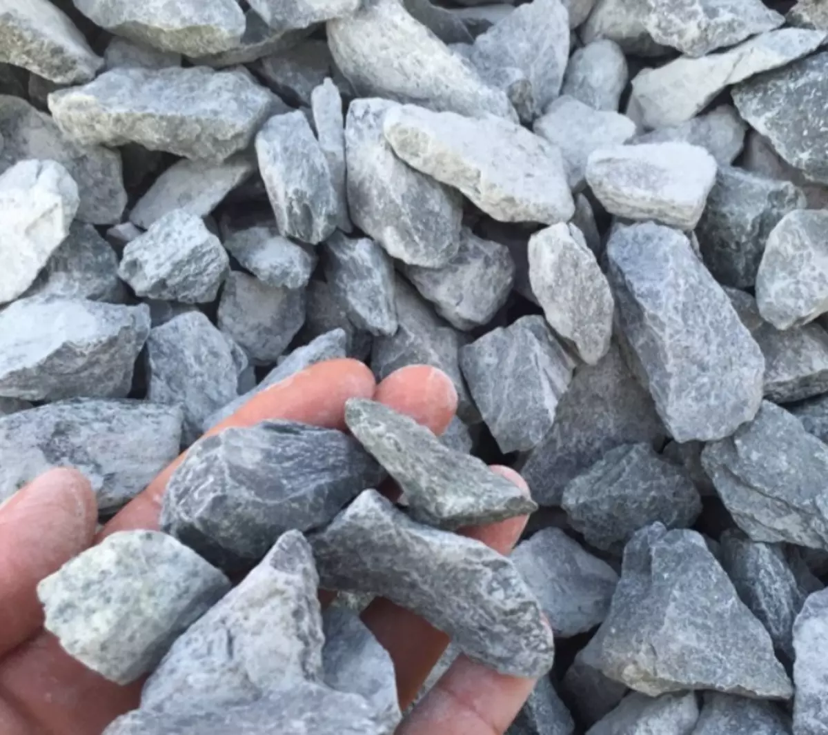 2026-01-20-11-27-15-416149-a00e0451db9113cc4b6fa1eed159ac36.webp?_=ozbol