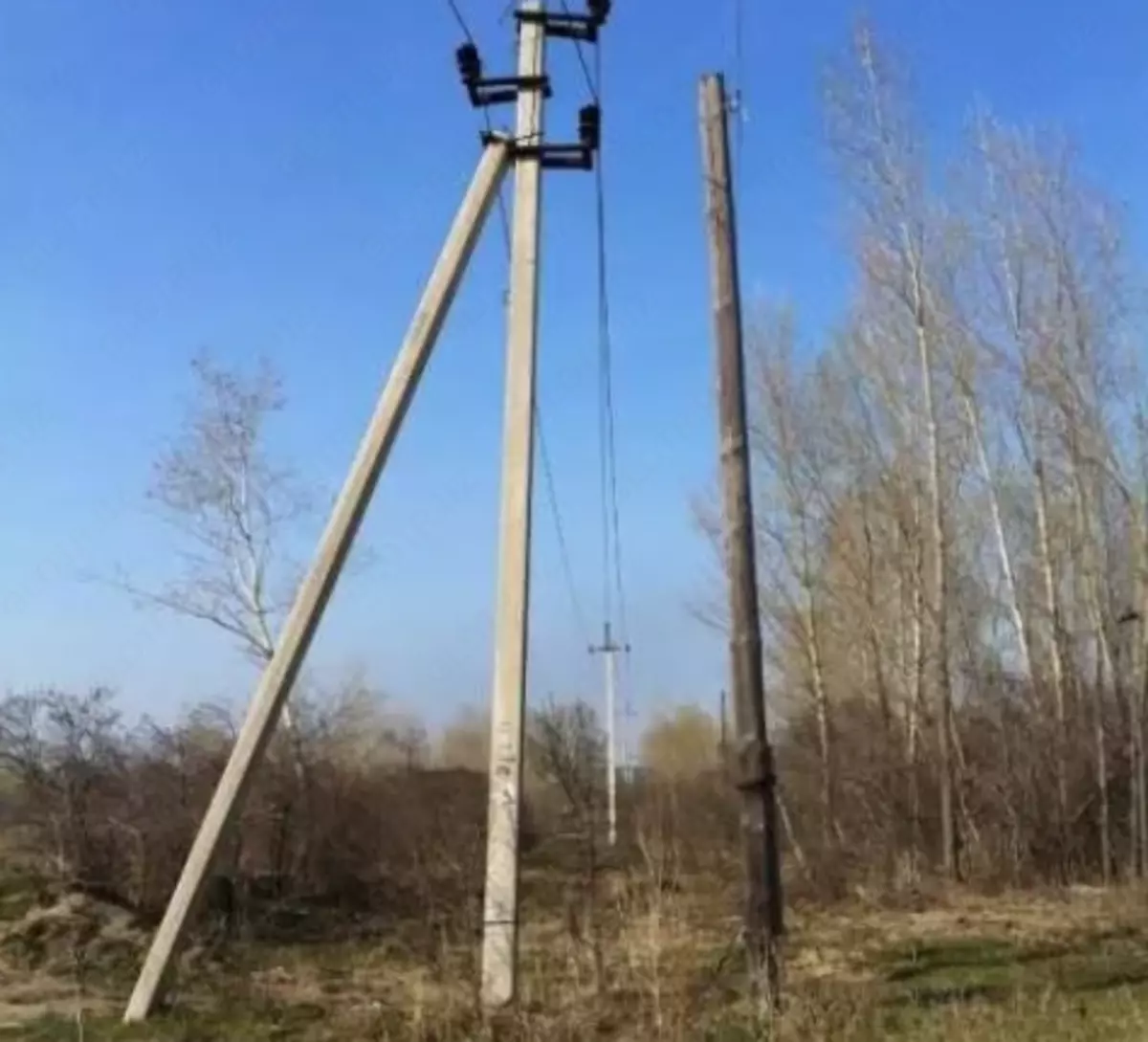 2026-01-20-11-46-48-794545-76931a96b9cdb13d26c2cda2450011e7.webp?_=ozbol