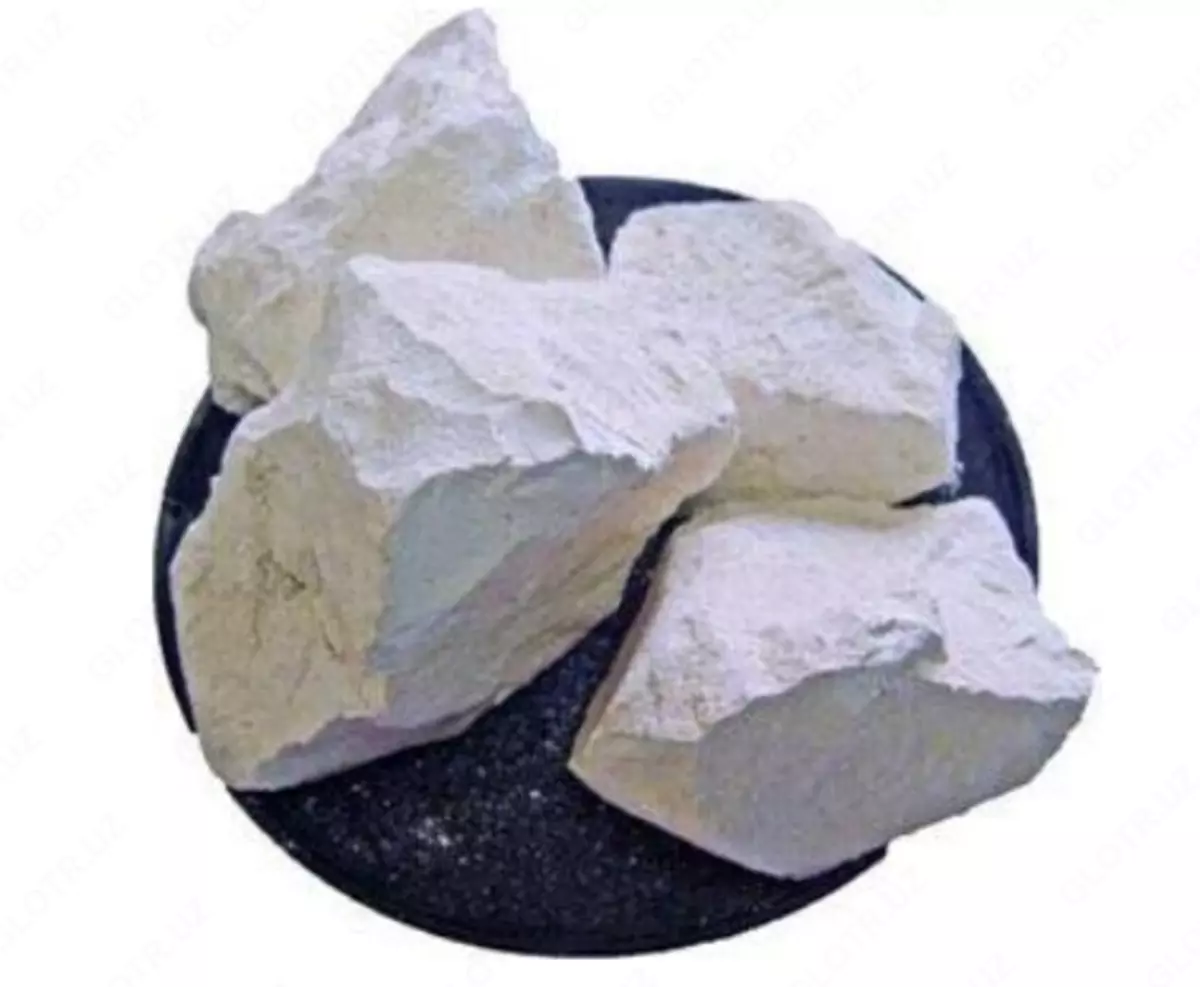 2026-01-21-16-20-03-423851-8f15e744a2fda04097905e7ae03c09ff.webp?_=ozbol