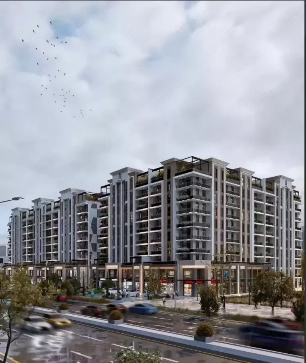 2026-01-23-12-27-58-098064-cb53c3f256cc20b310153bb45d7b77bf.webp?_=ozbol