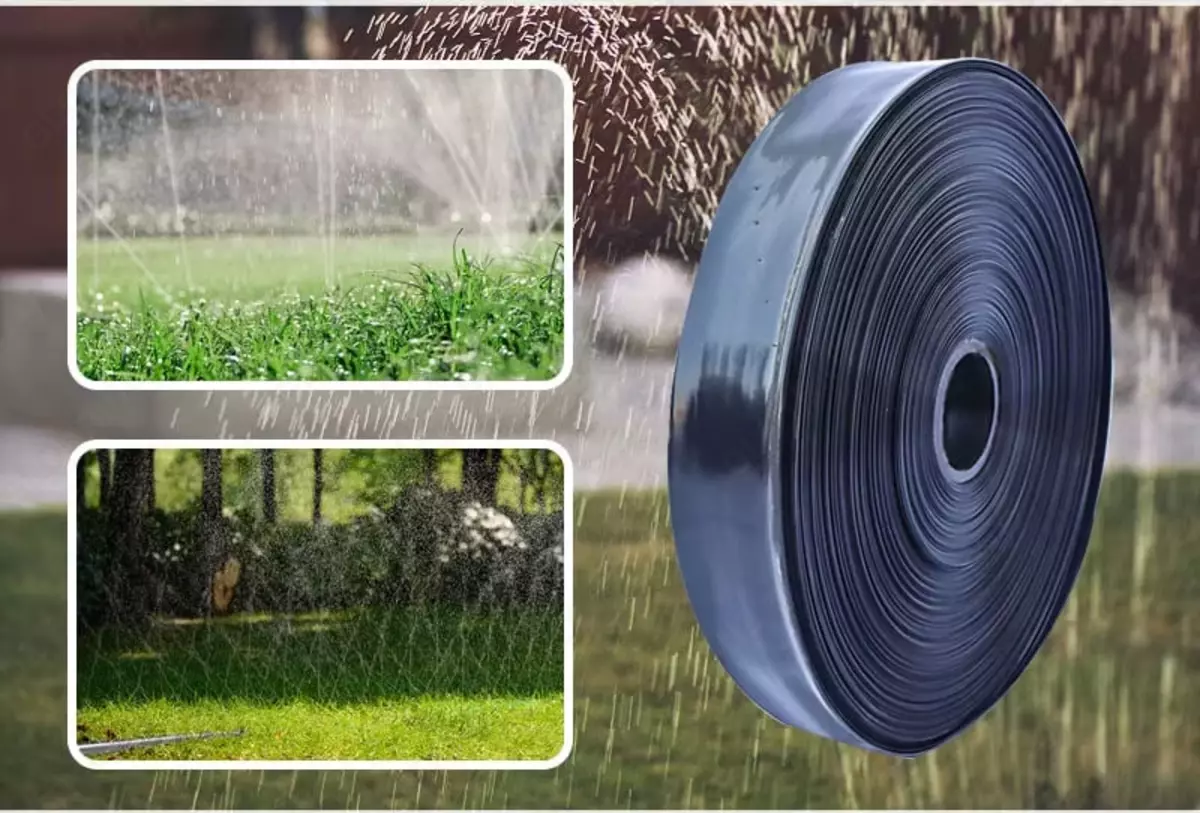 2026-01-26-11-27-25-193934-9bdac79f6729419130434f375141e795.webp?_=ozbol