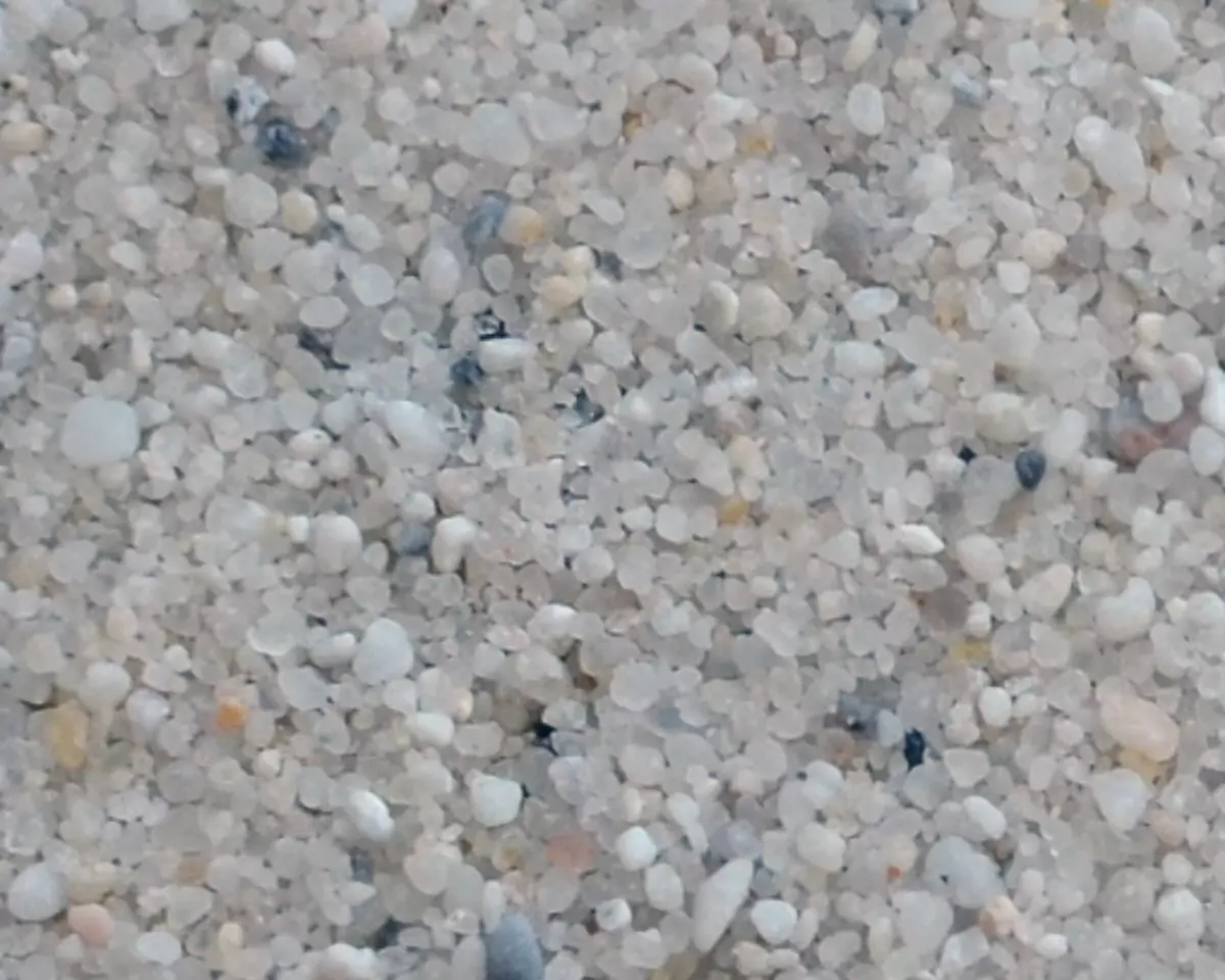 2026-01-26-12-20-25-454448-cbb1299a4d95dd353fb6ed9acc0ae5d5.webp?_=ozbol