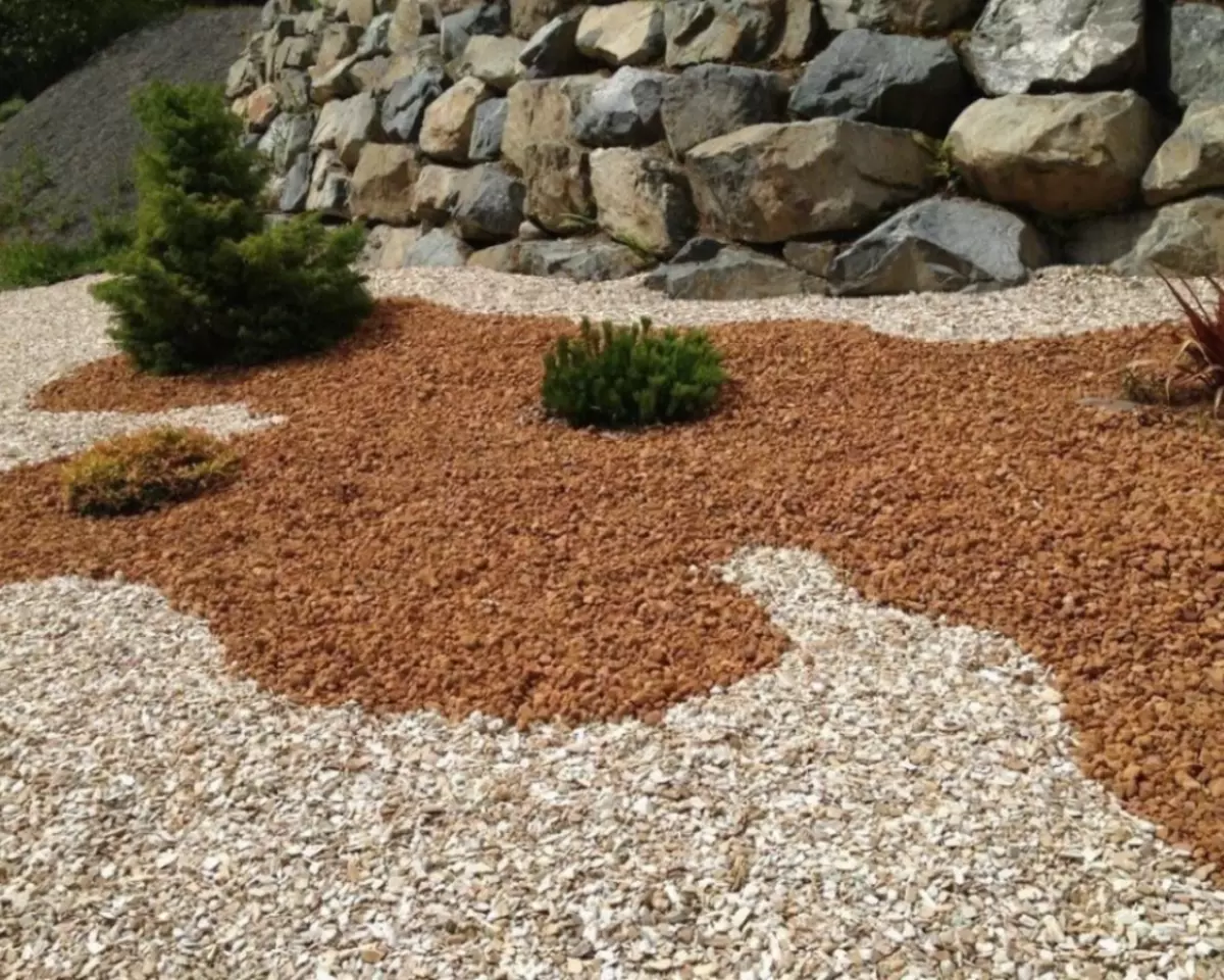 2026-01-26-12-35-48-213254-11c1157001209dc5542c0ea8576f8d5b.webp?_=ozbol