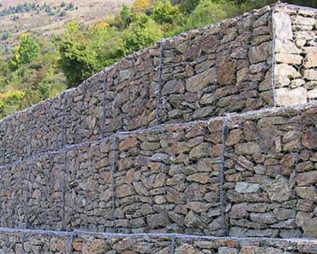 2026-01-26-12-40-24-717226-48a3cbca0e5e2a6a3f17301869f82ecf.webp?_=ozbol