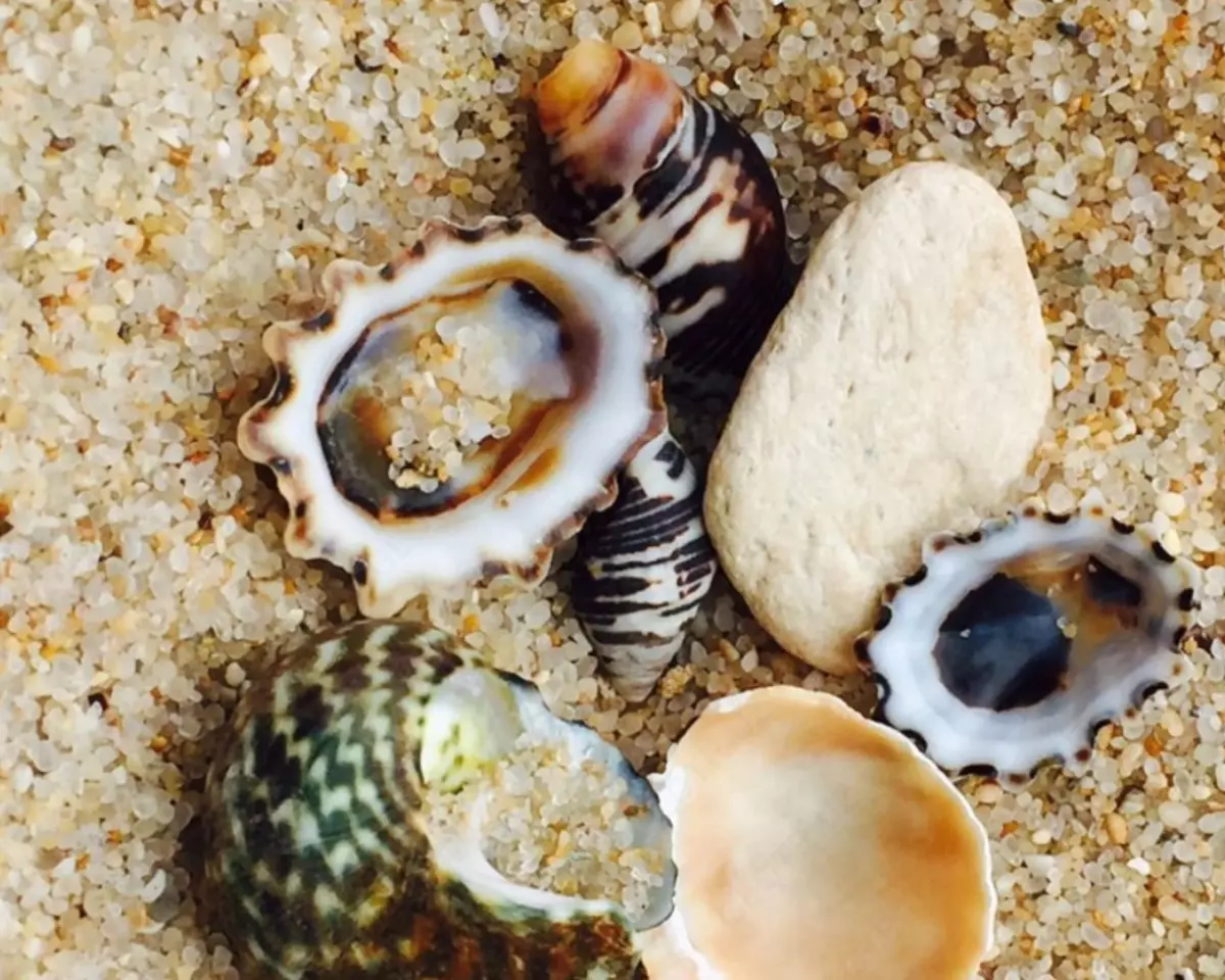 2026-01-26-12-44-08-272733-3c443d1a04d7bf6e1a64e0dd98bb5f3d.webp?_=ozbol