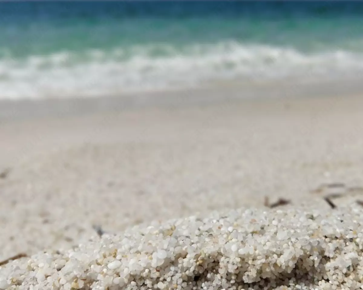 2026-01-26-12-44-28-050505-278da0942c8abc432a6ccd8f7275fccb.webp?_=ozbol