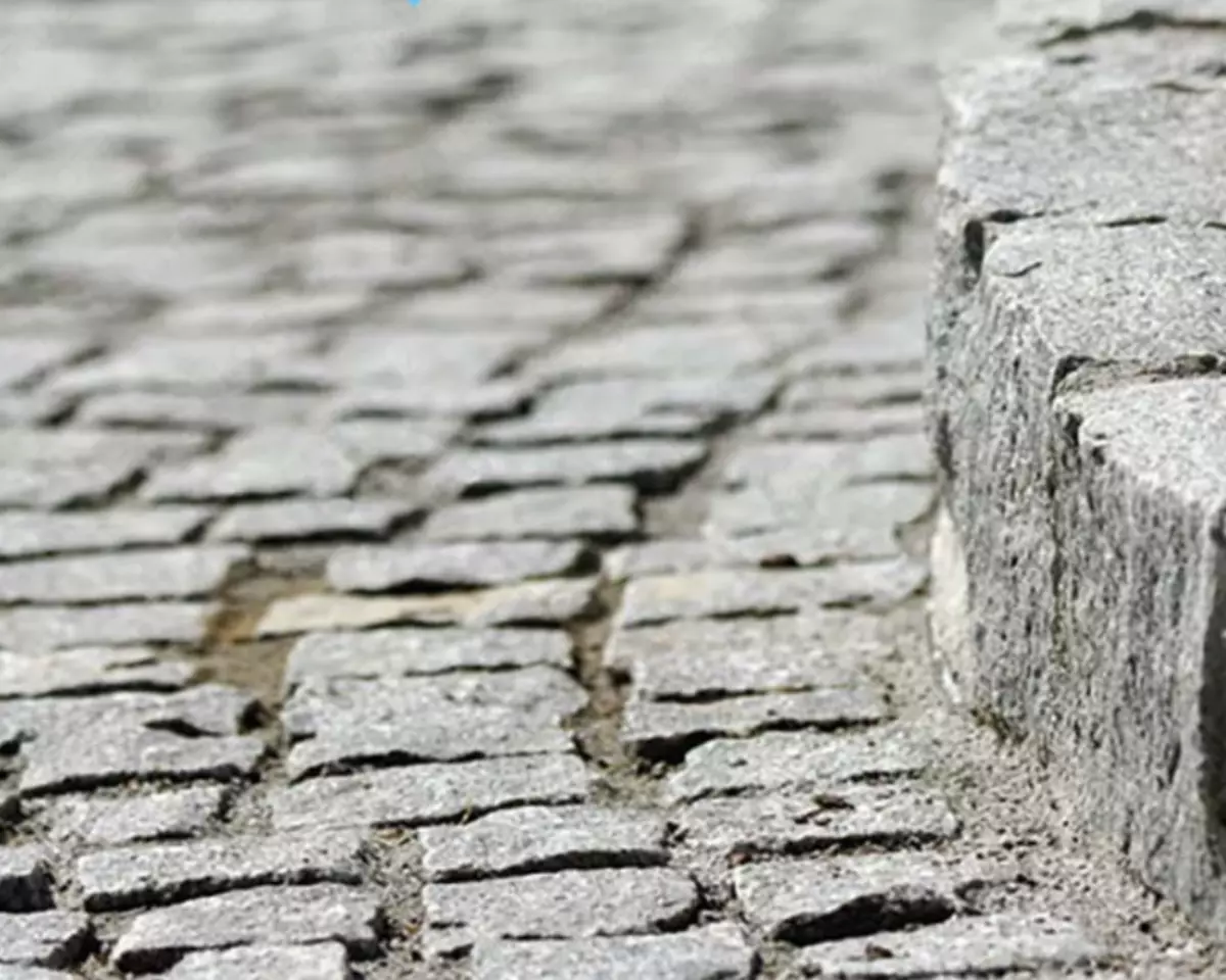 2026-01-26-14-55-23-679124-1c2d09ff1907a3dcd7fa12651c31d5c0.webp?_=ozbol