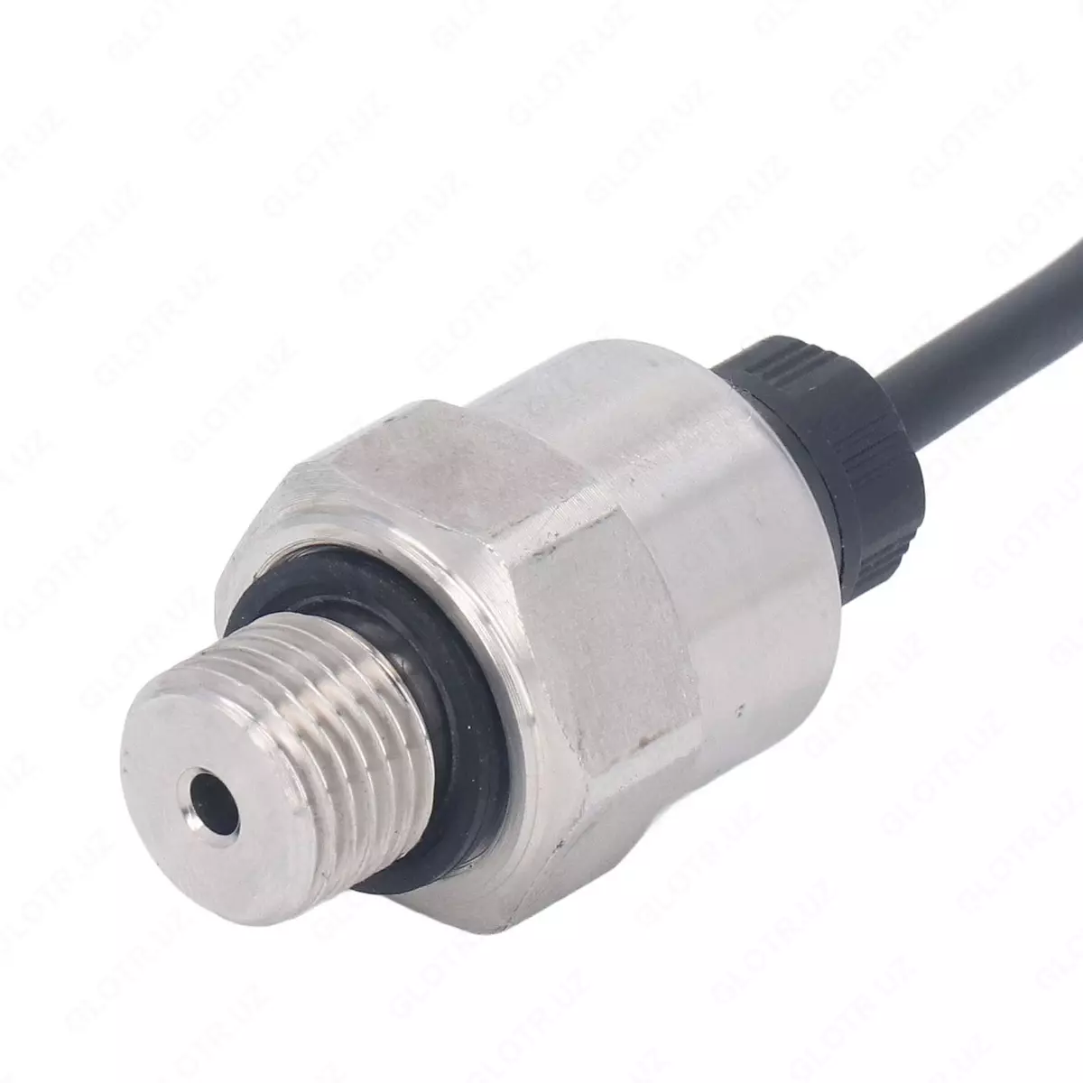 2026-01-26-16-05-36-751081-248e15687d45967998dfd231c84148eb.webp?_=ozbol