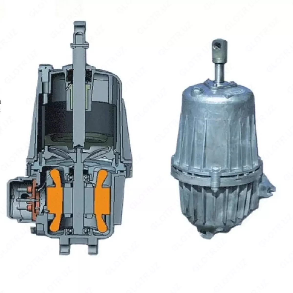 2026-01-26-16-32-36-932962-410b3bf8695e0985f062c3871cd7bda7.webp?_=ozbol