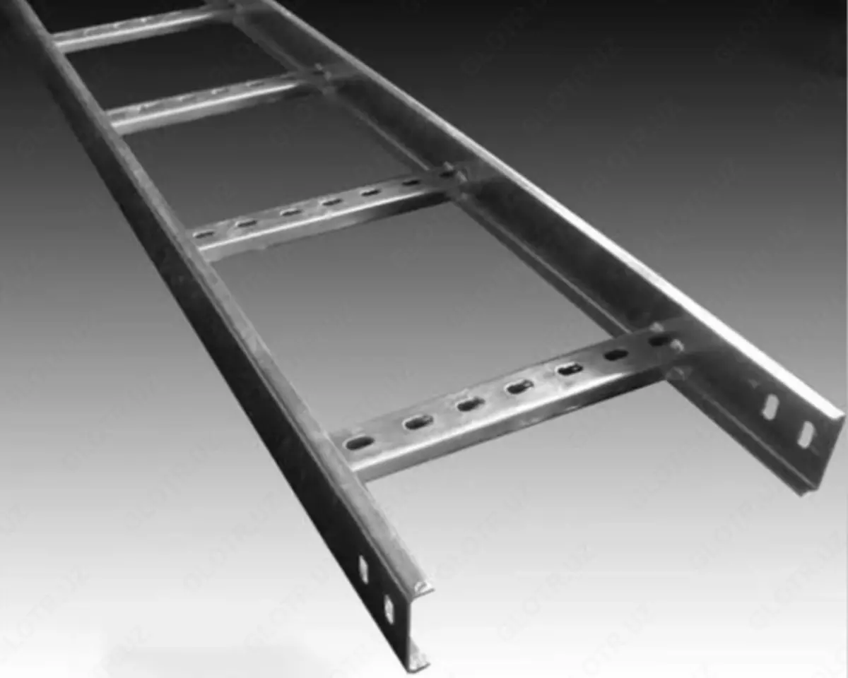 2026-02-02-14-17-06-294557-05dfd31ebfd95e4671142e7f4804a666.webp?_=ozbol