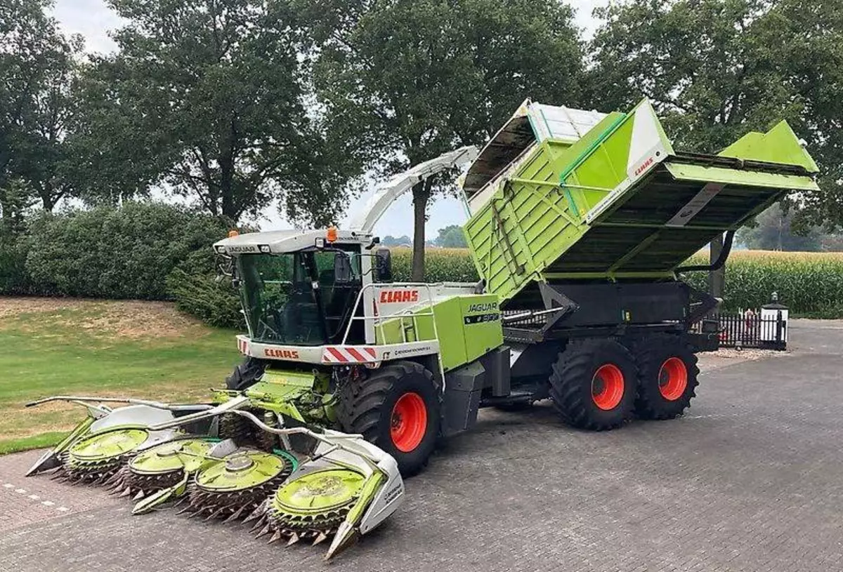 2026-02-03-17-39-14-996603-ab4e3104ec952bb45e879eb791fabef2.webp?_=ozbol