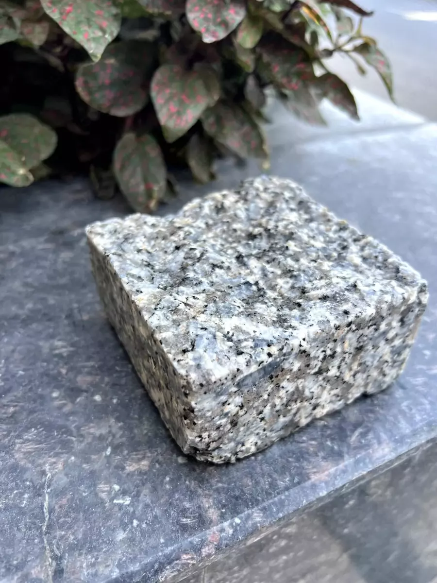 2026-02-04-16-33-06-774927-3ee50f8b7a5f6fea755385866a2c64ce.webp?_=ozbol