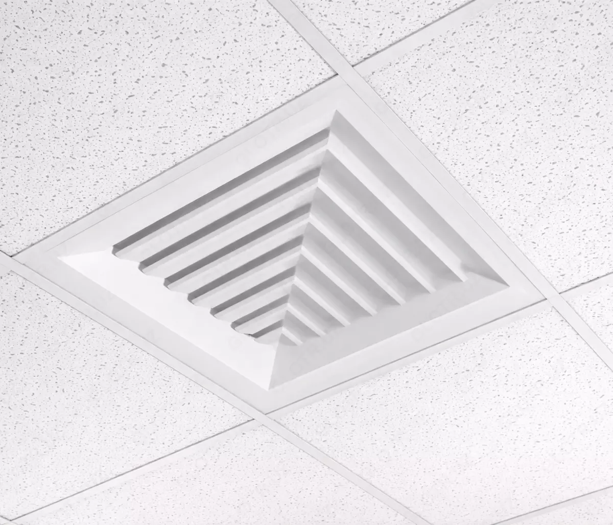 2026-02-05-09-58-55-914990-ec2f279fd2967f569403354540b8f028.webp?_=ozbol