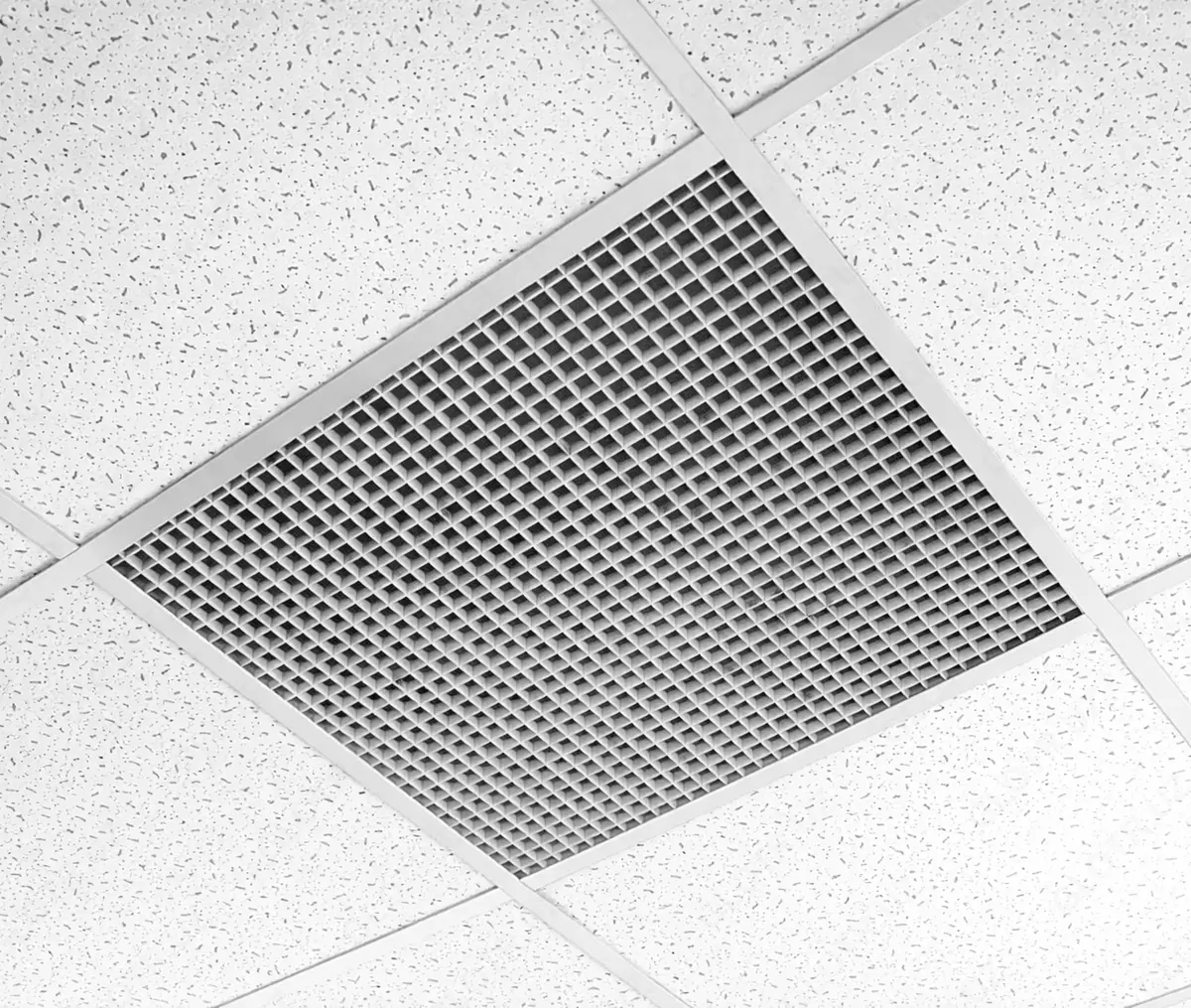 2026-02-05-10-23-29-096962-80ea0f1da326dad63a0481369f0dc3c7.webp?_=ozbol