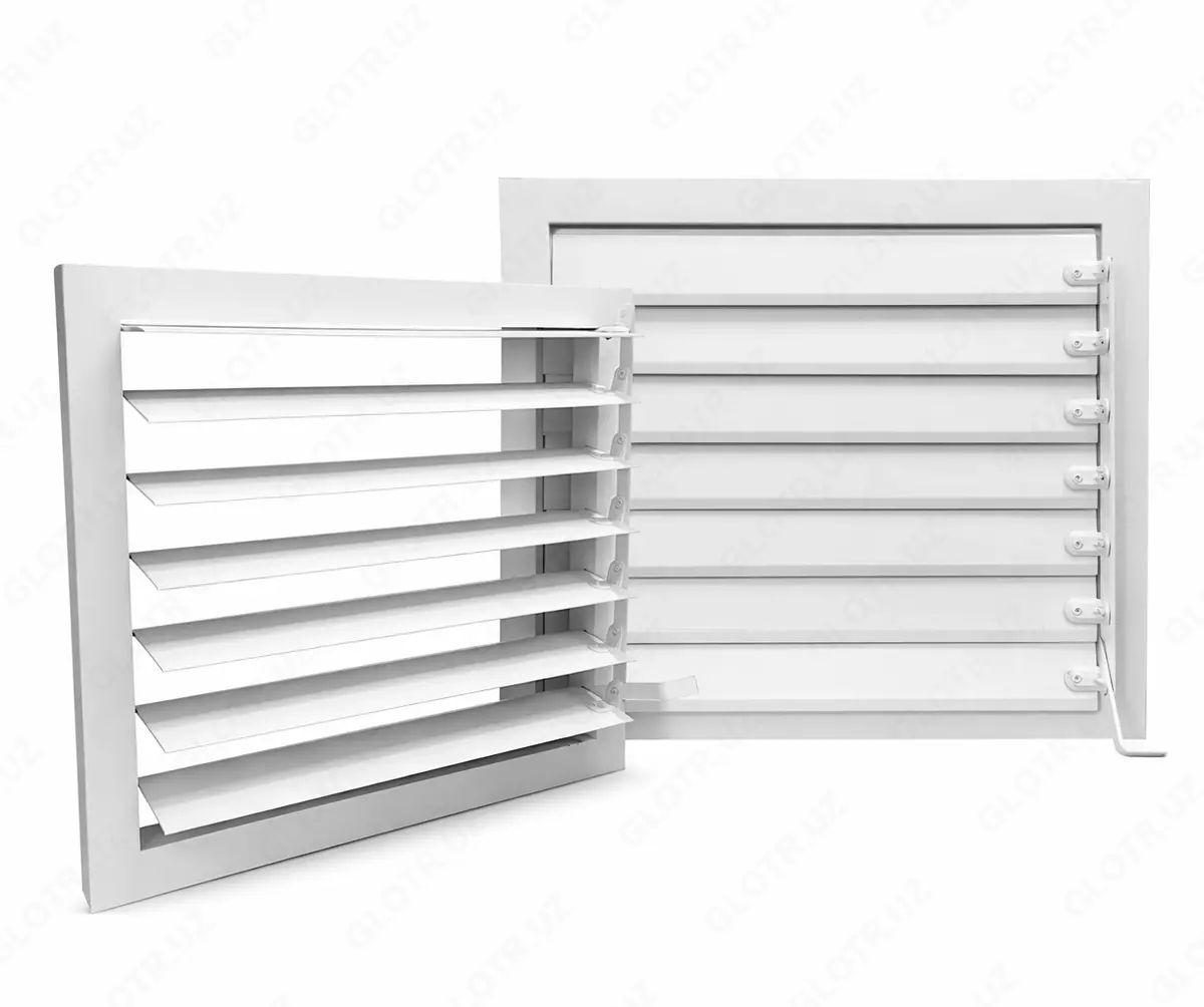 2026-02-05-12-00-13-174535-c78621531a87fae711154d5cc2d0424a.webp?_=ozbol