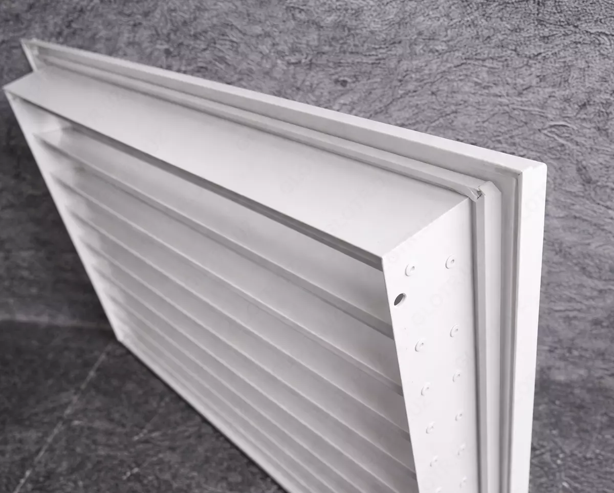 2026-02-05-14-41-47-308795-96bbe895657f177dddde4ff792a07fbe.webp?_=ozbol