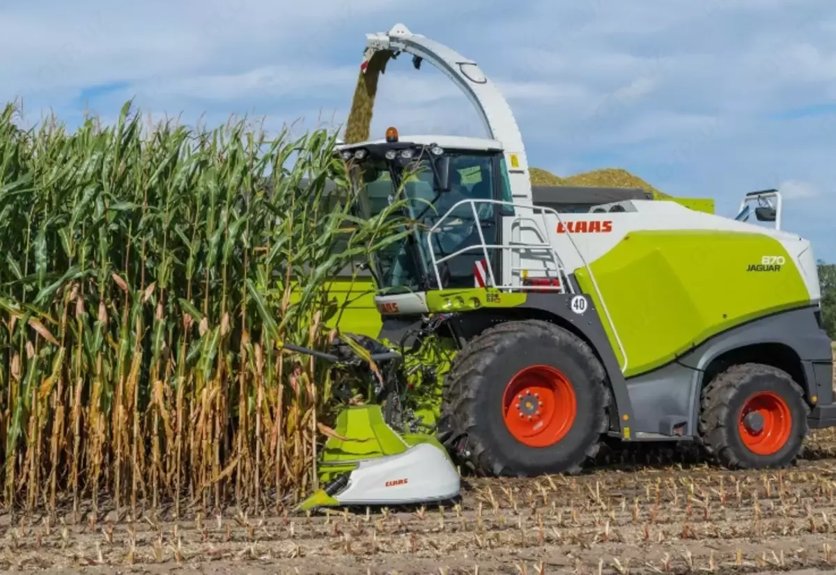 2026-02-05-17-20-27-606293-7026430f744182da2aa9f027d42797ae.webp?_=ozbol