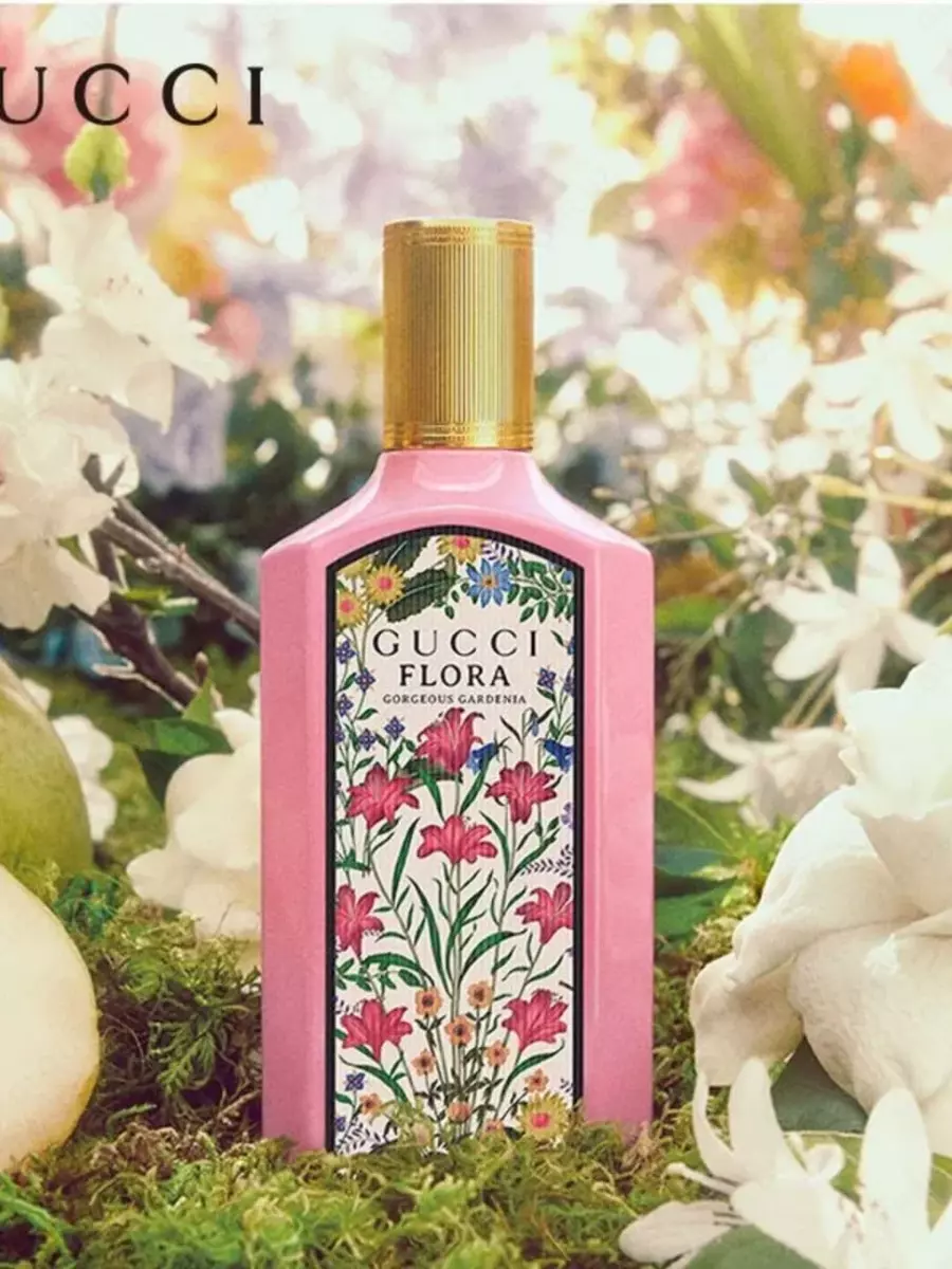 2026-02-09-12-12-00-489389-324ce01d60fb64483eff71e4f6cdad48.webp?_=ozbol