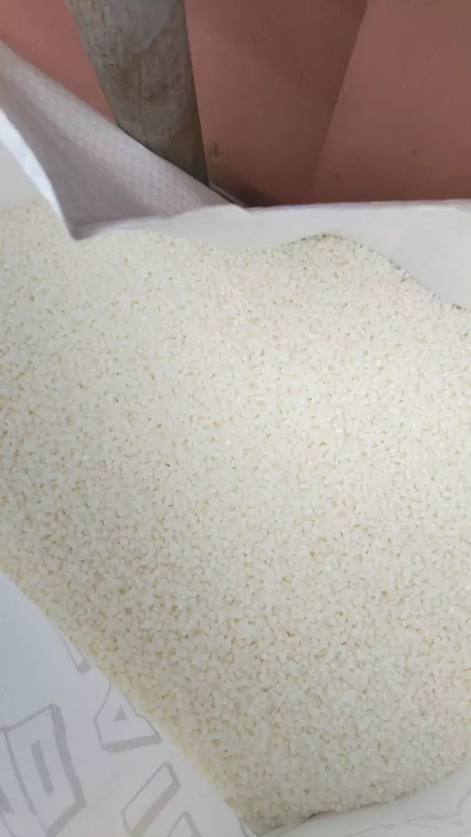 2026-02-11-17-37-01-855986-540b05148fbf7647615e7048dd4d51df.webp?_=ozbol