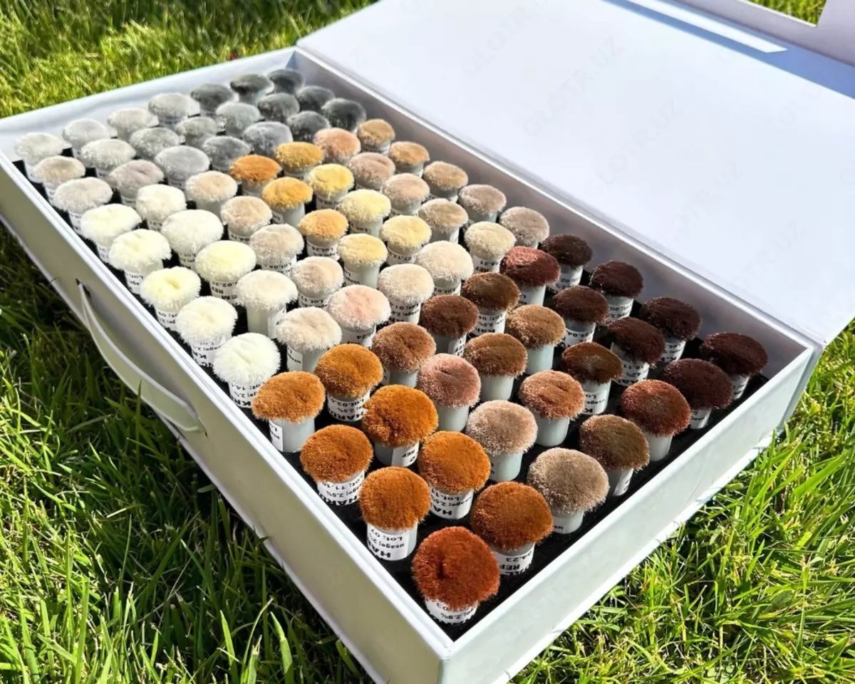 2026-02-26-16-30-17-177043-54420ee489b4878df224cdb9855c0837.webp?_=ozbol