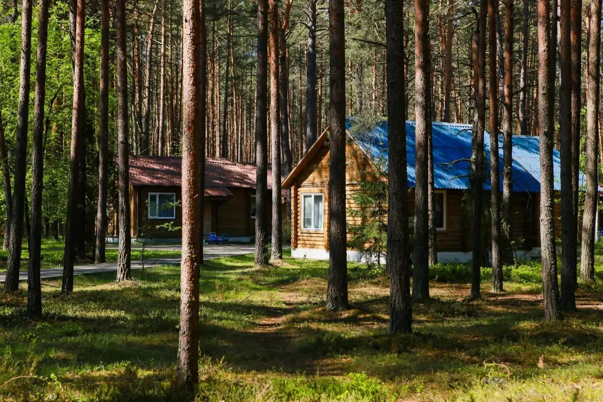 2026-03-06-11-13-04-652217-e4378999a72f0978733c000121b8a448.webp?_=ozbol