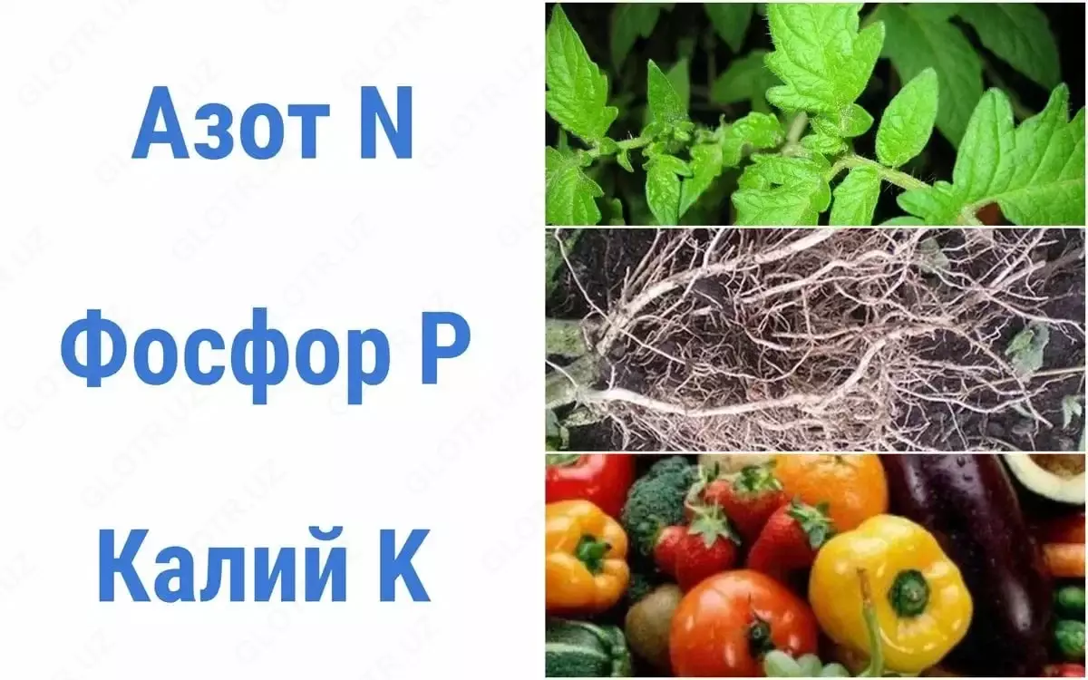 2026-03-16-11-39-57-766628-433cffd7e30dccf1bdf658a06f2453b5.webp?_=ozbol