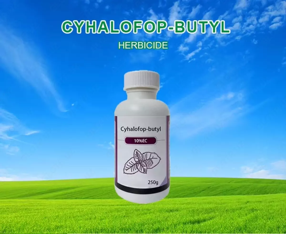 2026-03-16-13-48-53-817430-beb598358c0573f1296d4e4c5f48e783.webp?_=ozbol