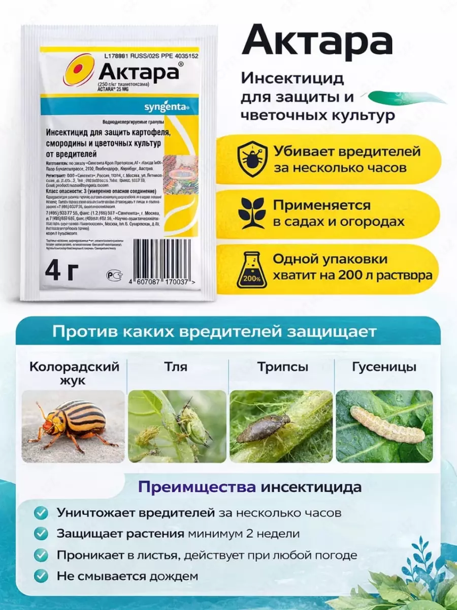 2026-03-16-14-23-30-596741-24514f3b361fdbf9359ec5c20bab26ff.webp?_=ozbol