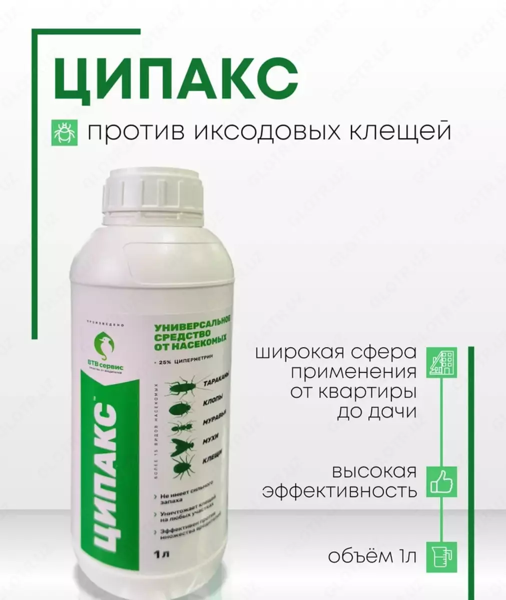 2026-03-16-14-37-12-885082-7e6812dece2b9031a1eb727dc8de7bd9.webp?_=ozbol