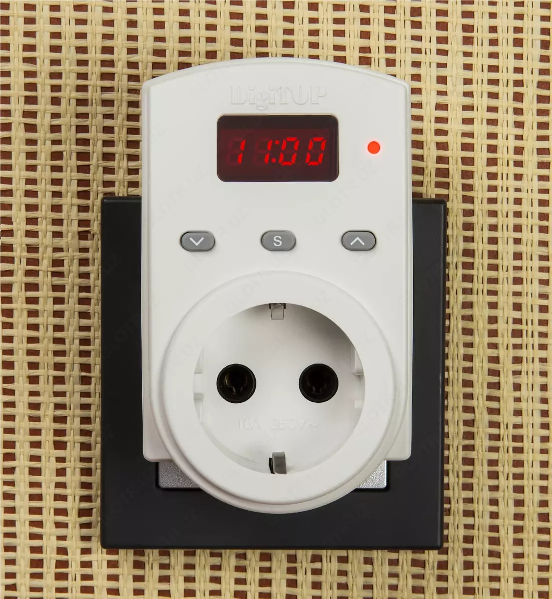 2026-03-31-12-53-11-345284-f54f16ab1121176ede2caa3b7b3b4f25.webp?_=ozbol