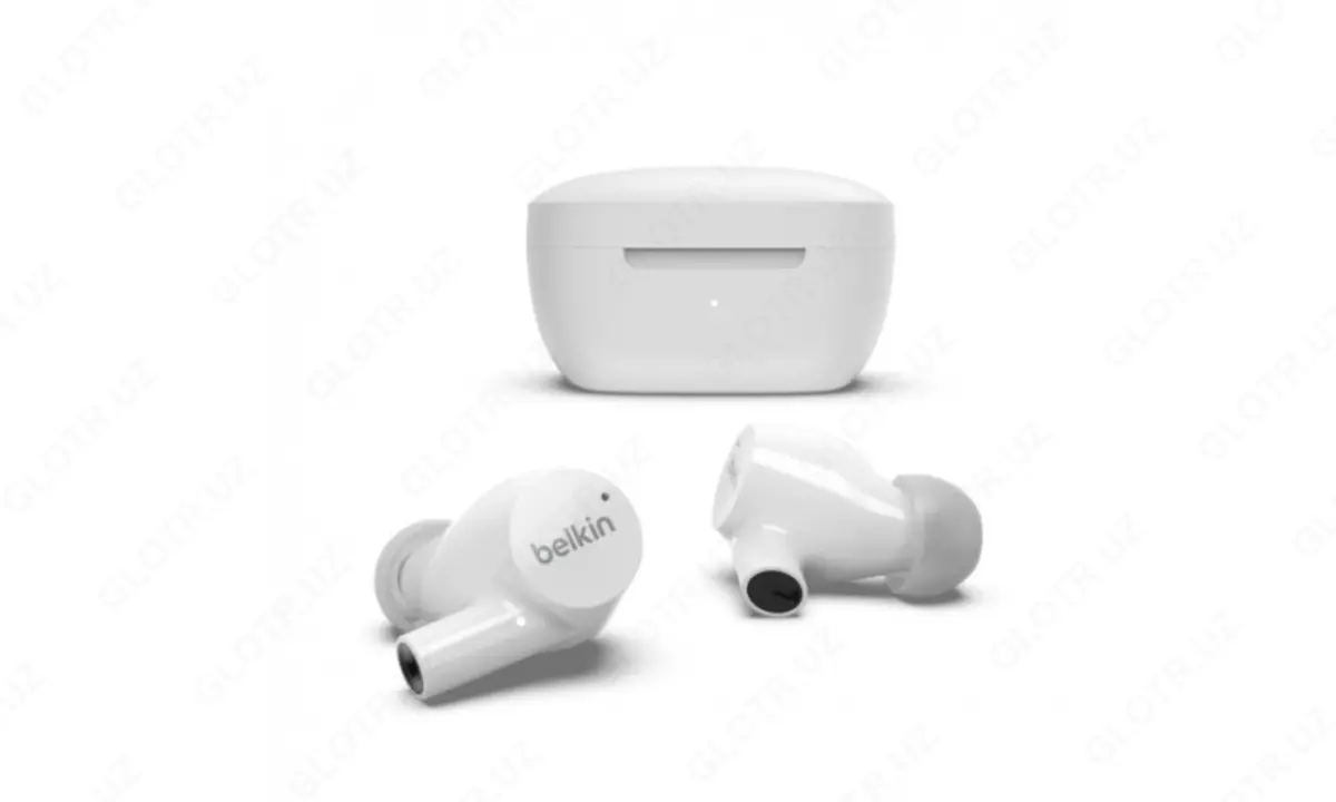 2026-05-01-10-18-06-940999-89f4fa0ae4c39c552c24d6b54e442243.webp?_=ozbol