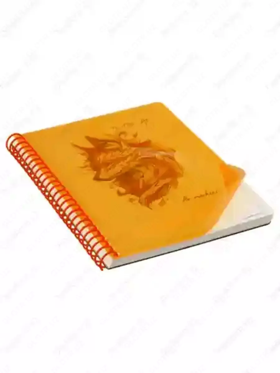 2026-10-06-10-32-52-710289-0f131796aaaff0ba91aaaa7a8205408f.webp?_=ozbol