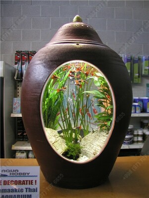 аквариум-ваза.jpg
