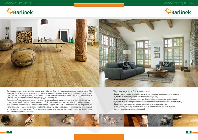 Europol JURNAL-A3-5.jpg