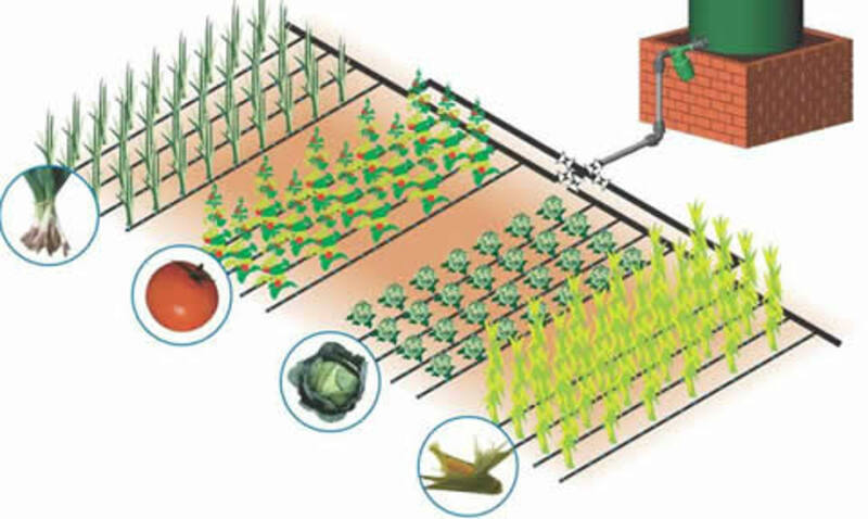 общий вид капельной системы.jpg