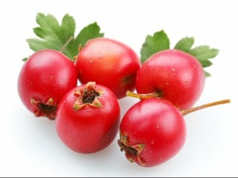 Доривор гиёхлар