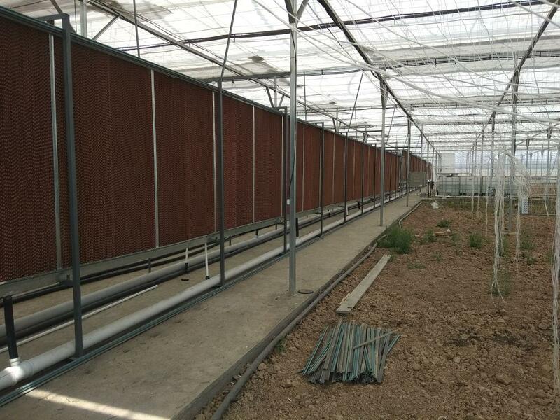 Система испарительного охлаждения в теплице