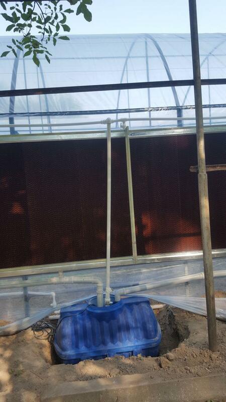Охлаждение в теплице - рассада
