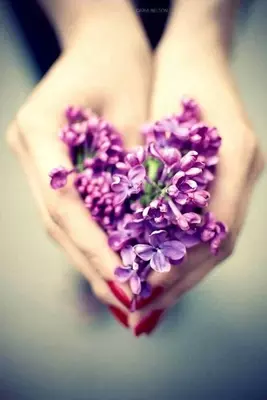 Все для женщин